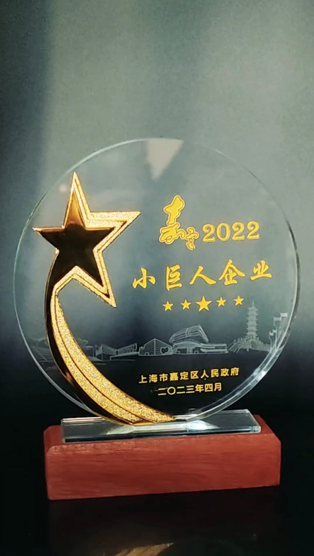 公司喜獲小巨人企業(yè)和創(chuàng)新發(fā)展先鋒企業(yè)稱號